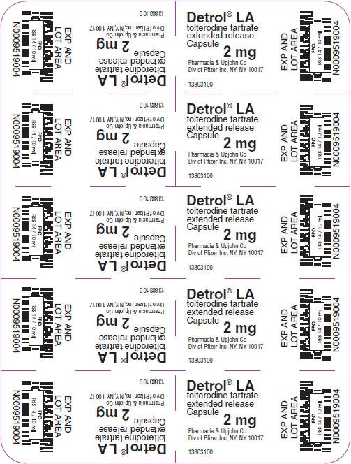 PRINCIPAL DISPLAY PANEL - 2 mg Capsule Dose Foil Pack