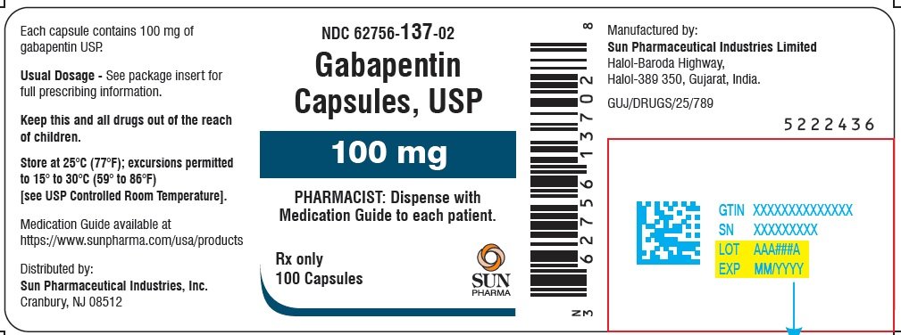 amneal gabapentin package insert