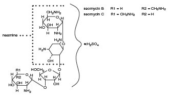 Neomycin Sulfate (structural formula)