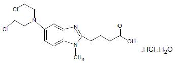 VIVIMUSTA Structure