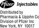 Pfizer Logo