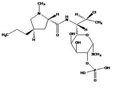 Chemical Structure of Clindamycin Phosphate