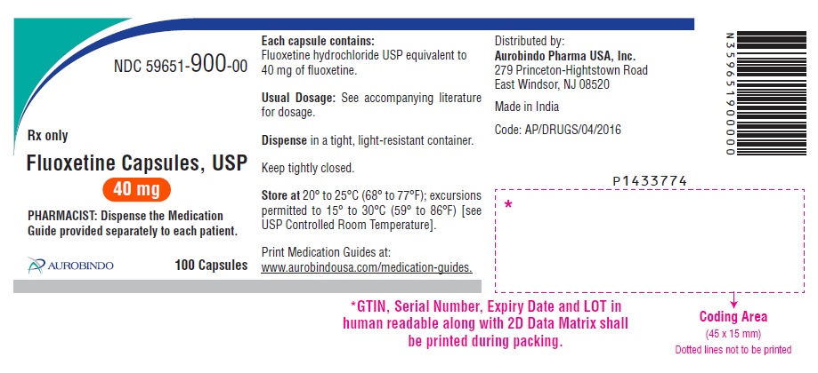 PACKAGE LABEL-PRINCIPAL DISPLAY PANEL - 40 mg (100 Capsules Bottle)