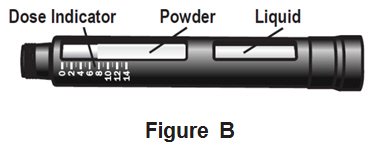 Figure B