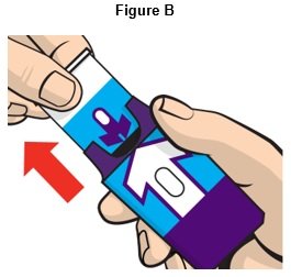 Figure B