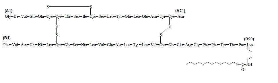 Levemir Chemical Structure.jpg