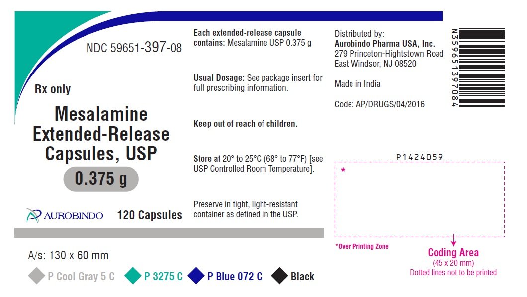 PACKAGE LABEL-PRINCIPAL DISPLAY PANEL - 0.375 g (120 Capsules Bottle)