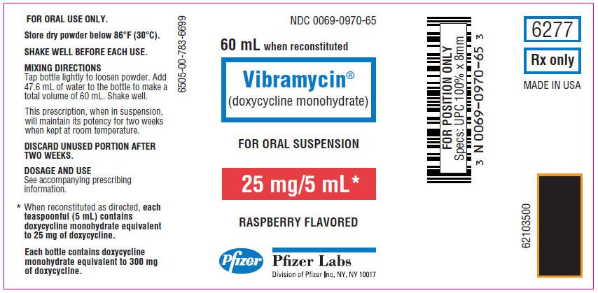 PRINCIPAL DISPLAY PANEL - 25 mg Oral Suspension Bottle Label