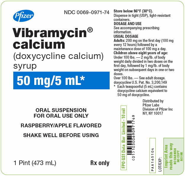 PRINCIPAL DISPLAY PANEL - 473 mL Bottle Label - NDC 0069-0971-74