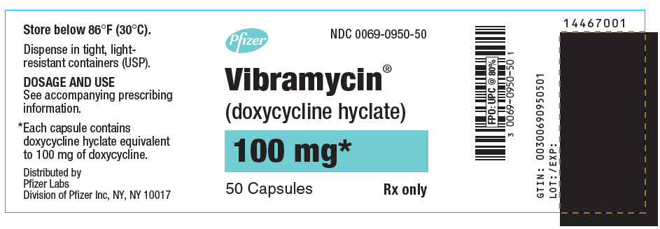 PRINCIPAL DISPLAY PANEL - 100 mg Capsule Bottle Label