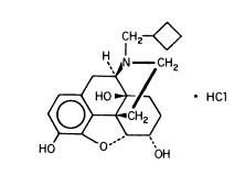 Image from Drug Label Content