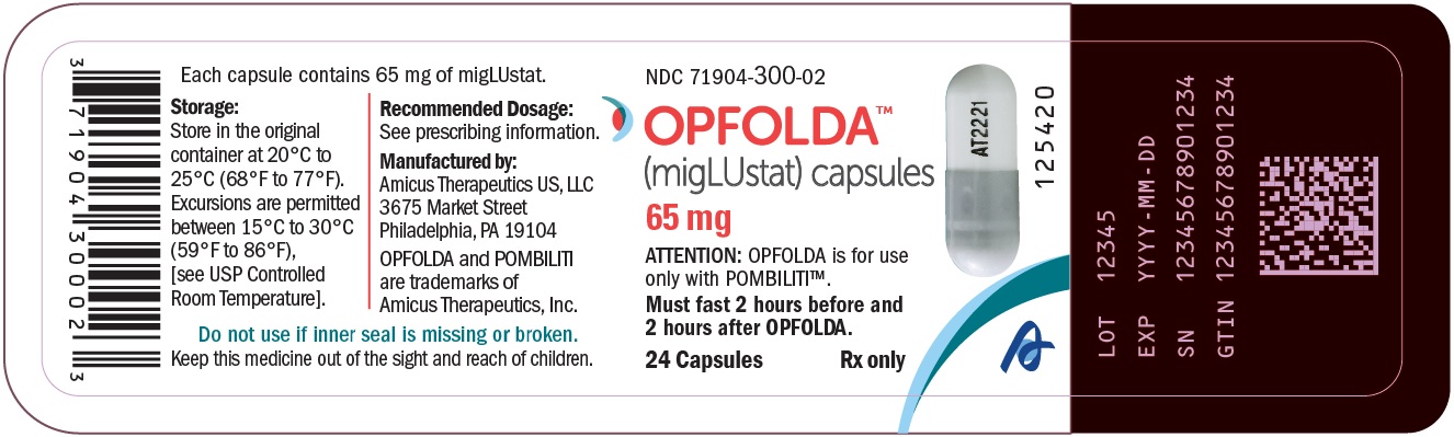 Treatment outcomes following continuous miglustat therapy in