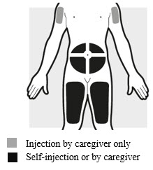 Figure G