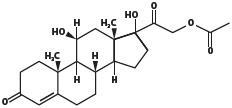structure1.jpg