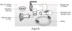 Figure B