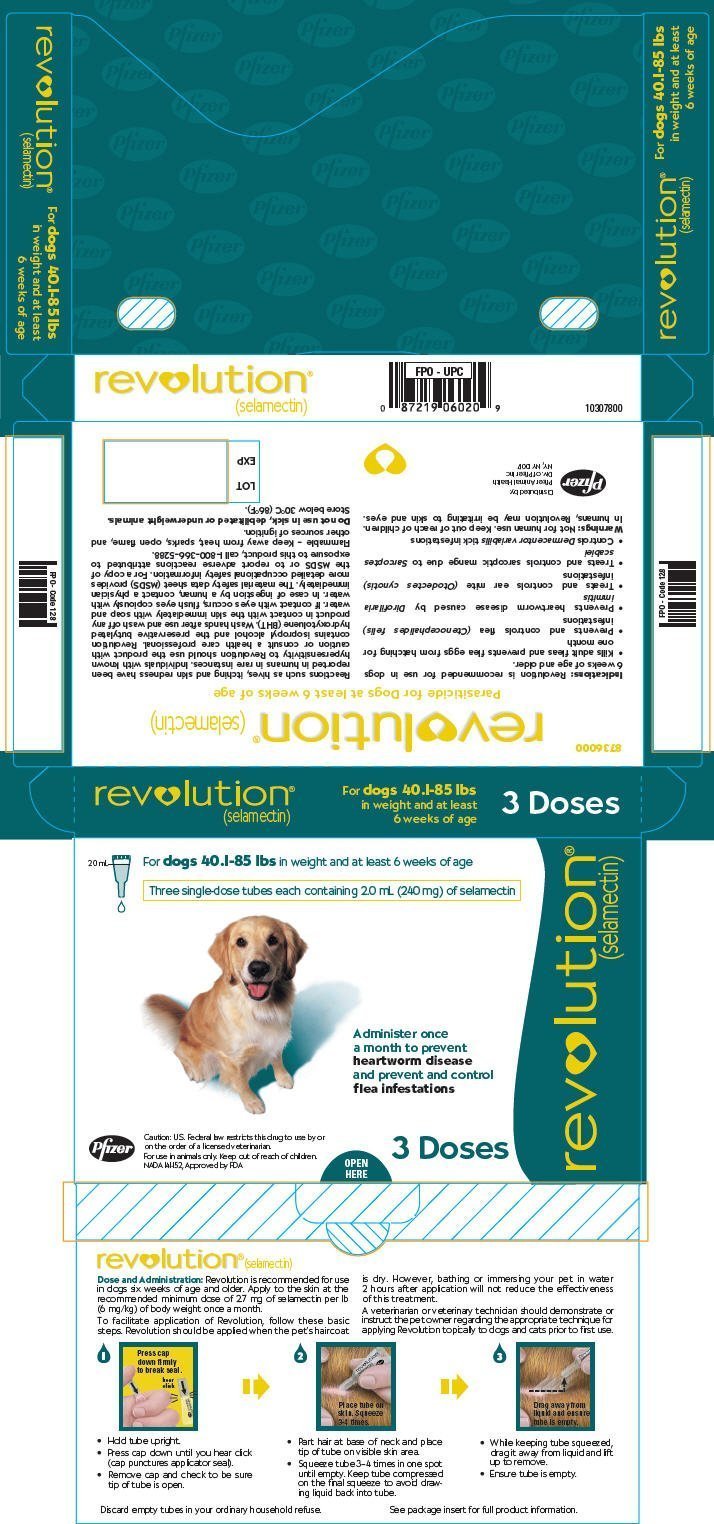 PRINCIPAL DISPLAY PANEL - 240 mg Carton