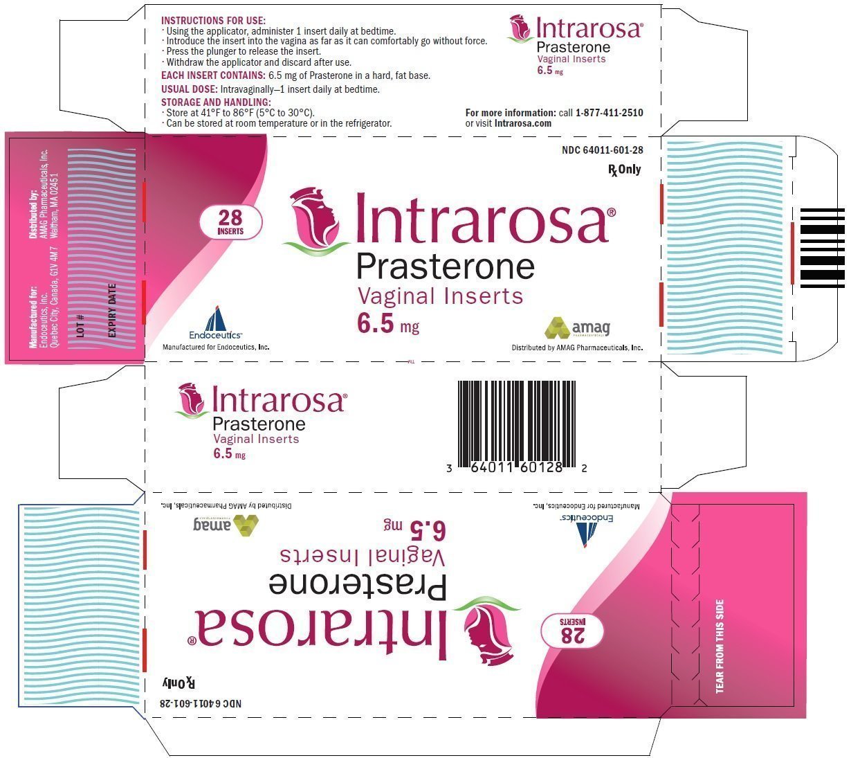 Intrarosa Intrarosa