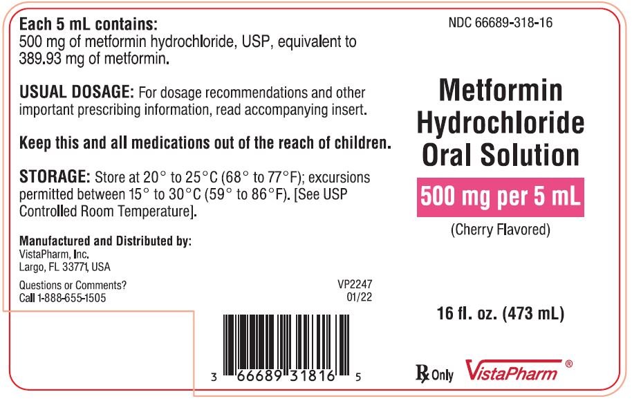 Metformin Hydrochloride Oral Solution 500 mg/5mL