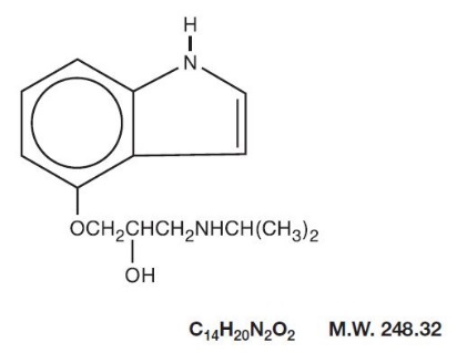 structure.jpg