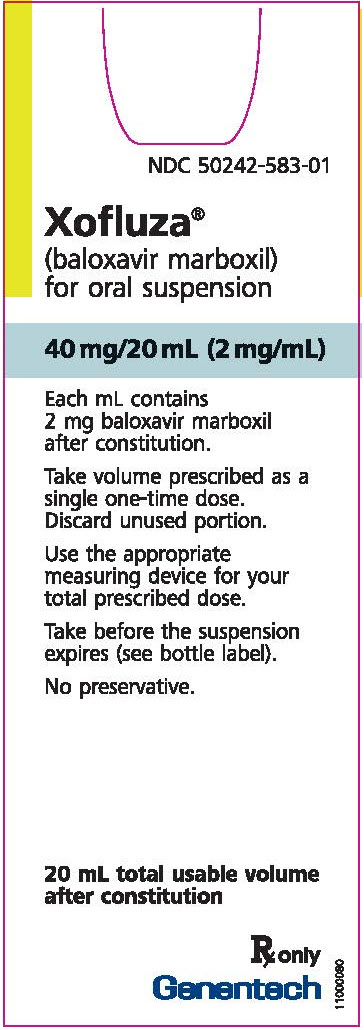 PRINCIPAL DISPLAY PANEL - 40 mg/20 mL Bottle Carton