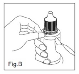 Dorzolamide-FigB