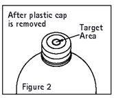 Figure 2 illustration