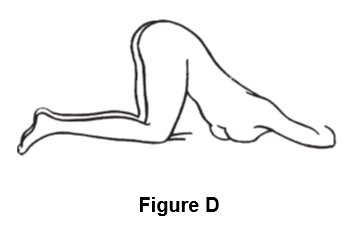 Figure D, Instructions for Use
