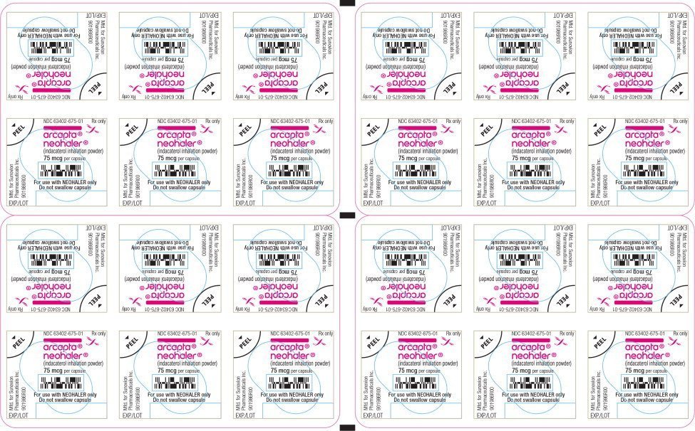 BLISTER LABEL - PRINCIPAL DISPLAY PANEL

