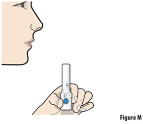 Figure M - IFU
