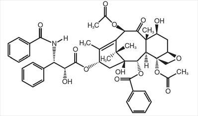 Paclitaxel Structural Formula