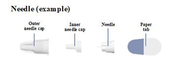 Illustration of needle components.