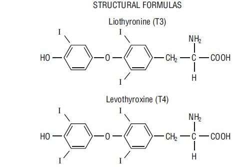 Structure.jpg