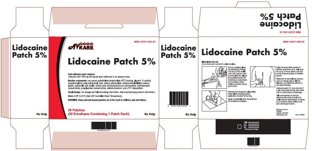 Can You Put Lidocaine Patch On Dog can-you-put-lidocaine-patch-on-dog