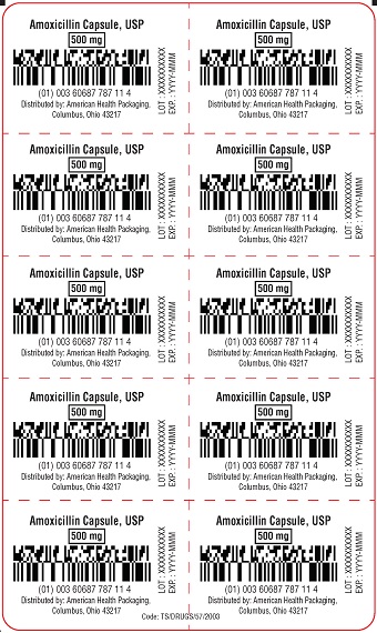 500 mg Amoxicillin Capsule Blister