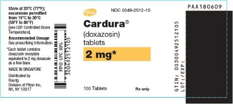 PRINCIPAL DISPLAY PANEL - 2 mg Tablet Bottle Label - 2512-10