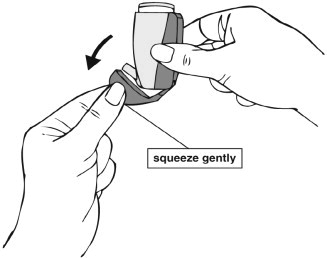 Zetonna: Package Insert / Prescribing Information - Drugs.com