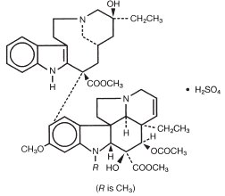 vinbl-struc-01.jpg