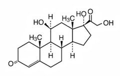 This is an image of the structural formula for hydrocortisone.