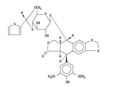 structural image