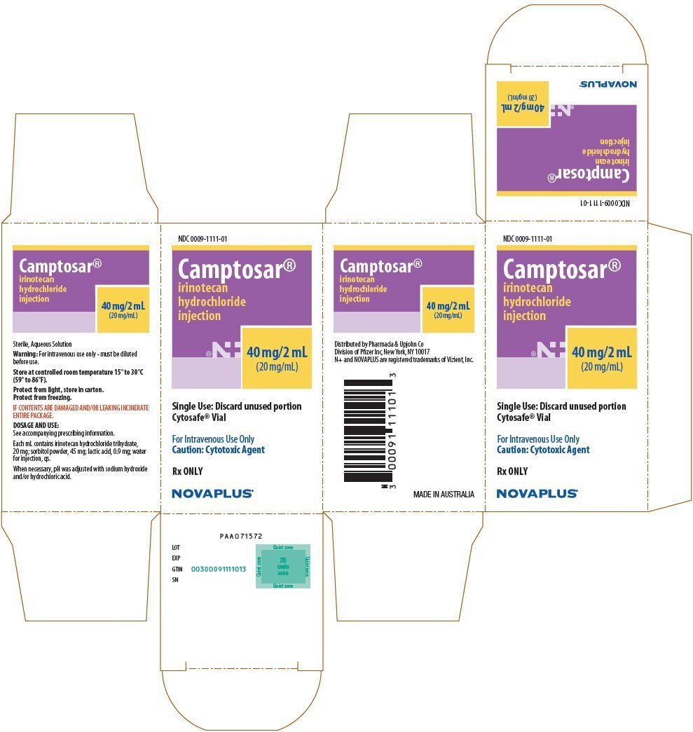 PRINCIPAL DISPLAY PANEL - 40 mg/2 mL Vial Carton