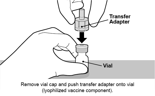 Remove vial cap and push transfer adapter onto vial (lyophilized vaccine).