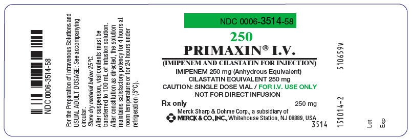 PRINCIPAL DISPLAY PANEL 250 mg Bottle Label