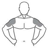Andro shoulders ben 05092014