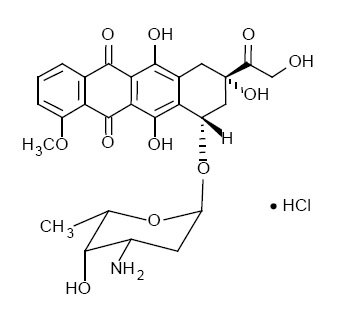 doxorubicin liposomal stru hydrochloride injection ndc