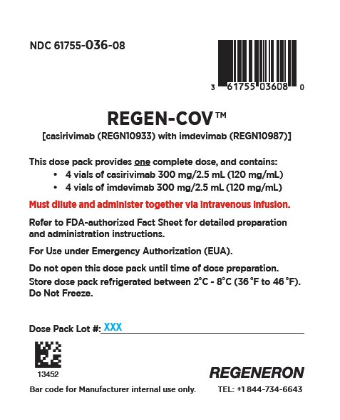 PRINCIPAL DISPLAY PANEL - Dose Pack - 61755-036-08