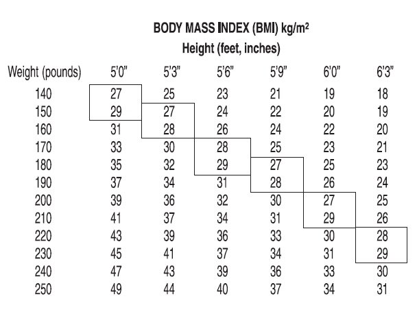 bmi index