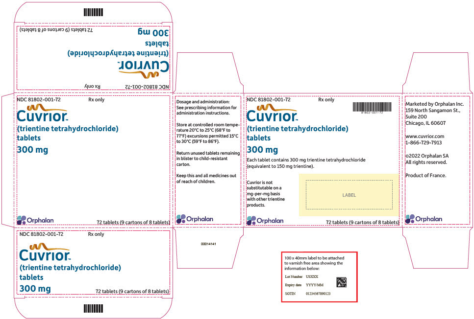 PRINCIPAL DISPLAY PANEL - 72 Tablet Blister Pack Carton