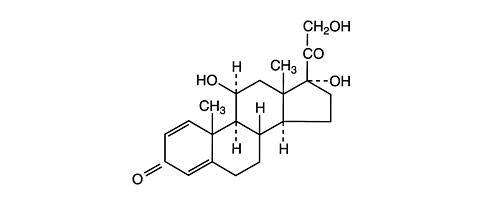 Steroids prednisone pregnancy