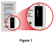 IFU Figure 1