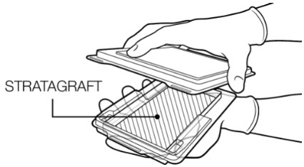 Figure 13